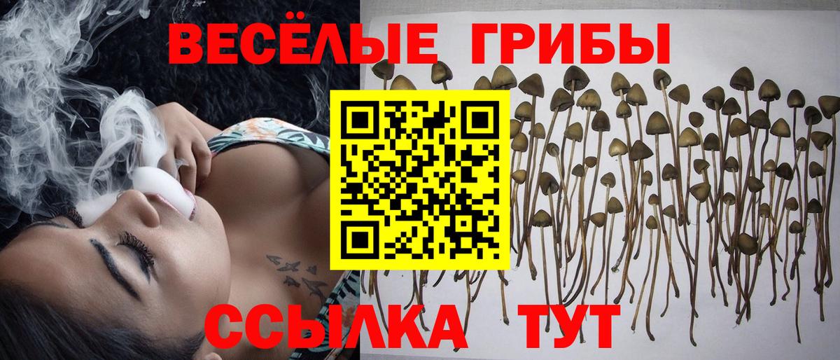 Волгоград  Галлюциногенные грибы мицелий  Галлюциногенные грибы Cubensis  Вход с VPN 
