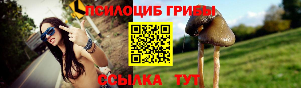 Галлюциногенные грибы Magic Shrooms Волгоград