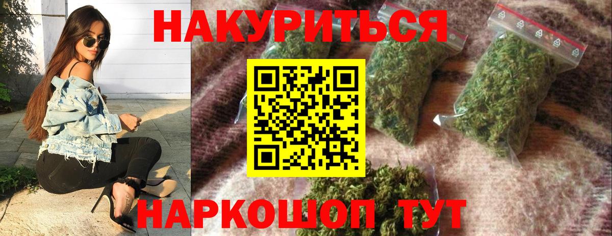 Бошки Шишки планчик Волгоград